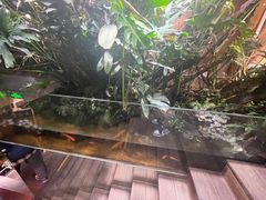 -森味薪火烧•烧鸟居酒屋•日本料理(望京店)
