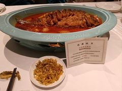 -阿五黄河大鲤鱼(海尚店)