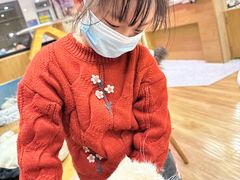 -滚猫咖啡·猫咖·猫友好撸猫(未来城店)