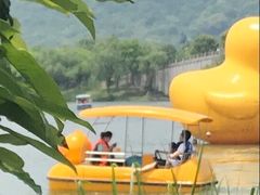 -湘湖金融镇