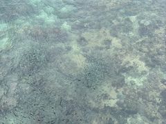 -三亚西岛海洋文化旅游区