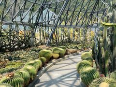 -深圳仙湖植物园