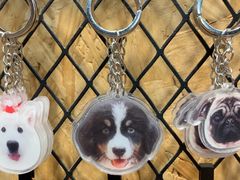 -和它·交个朋友·狗咖猫咖(爱琴海店)