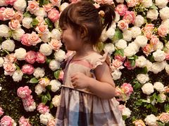 -百好乐宠物友好餐厅(朝外大街店)