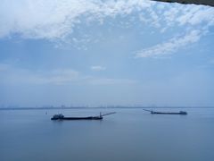 -大湾区中央湿地公园