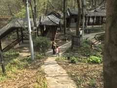 -句容茅山景区