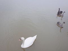 -宁波杭州湾国家湿地公园