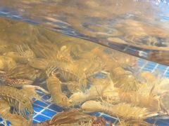 -小时候焗海鲜(鄞州万达店)