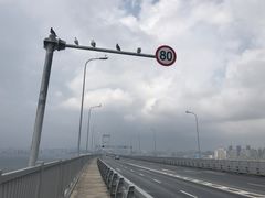 -星海湾跨海大桥