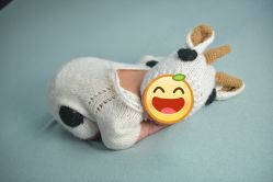 -小熊维尼高端儿童摄影(宝安旗舰店)