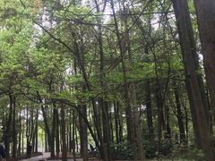 -东湖落雁景区