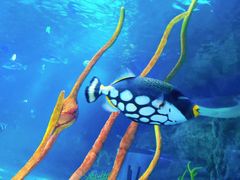 -沈阳海洋探索中心