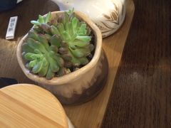 -头壹号 大油条·老长沙盖码饭(清河店)