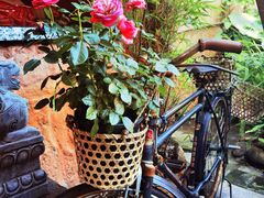 -园林美食城·本土农家菜(杨和镇店)