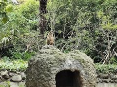 -上海野生动物园