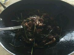 -一煲鸽