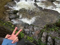 -牛背梁国家森林公园