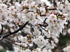 -武汉大学风雨操场