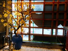 景观位-臻享無招牌·食蛙专门店(太古里店)