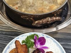 -鸽鸟轩(石岐店)