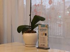 -南山鲜虾面·活鲜小馆·海味大连菜(南山总店)