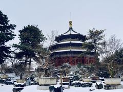 -中国唐苑
