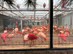 -石家庄市动物园