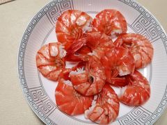 -田螺阿姨自营月嫂·育儿嫂(高新店)