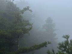 -秦岭天竺山生态文化旅游景区