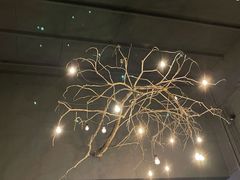 -土蚝·高压锅生蚝(百姓美食街店)