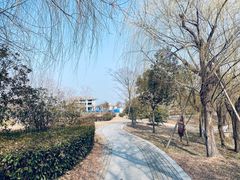 -南湖国家城市湿地公园