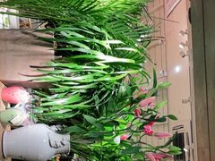 -春暖花开(西溪店)