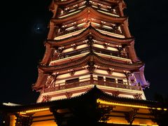 -洋湖国家湿地公园