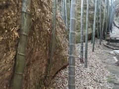 -崀山风景名胜区