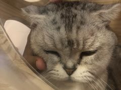 -猫咪派对(江南西店)