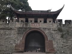 -桂湖森林公园