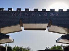 -洛阳市隋唐城遗址植物园
