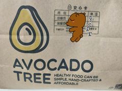 -油梨树 AVOCADO TREE(亮马桥店)