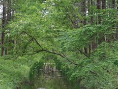 -黄海国家森林公园