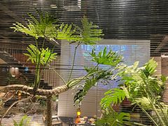 -J Create城市露营咖啡·简餐·宠物(上海动物园店)