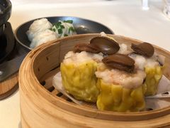 -金苑喜宴