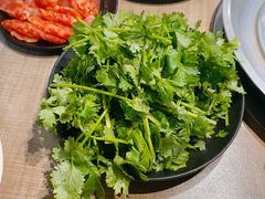 香菜-石记东北风味烤肉店(子固路店)