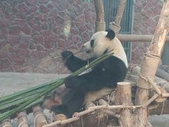 -黔灵山公园