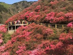 -木兰云雾山