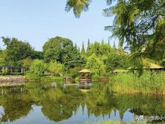 -成飞公园