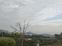 -东莞植物园