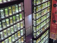 -广东中医药博物馆