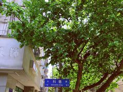 -陶记正宗德州扒鸡(科巷店)