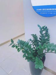 -普睿媞产后直营连锁(天鹅湖万达店)