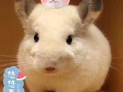 -龙猫仔乐园(惠福东路店)